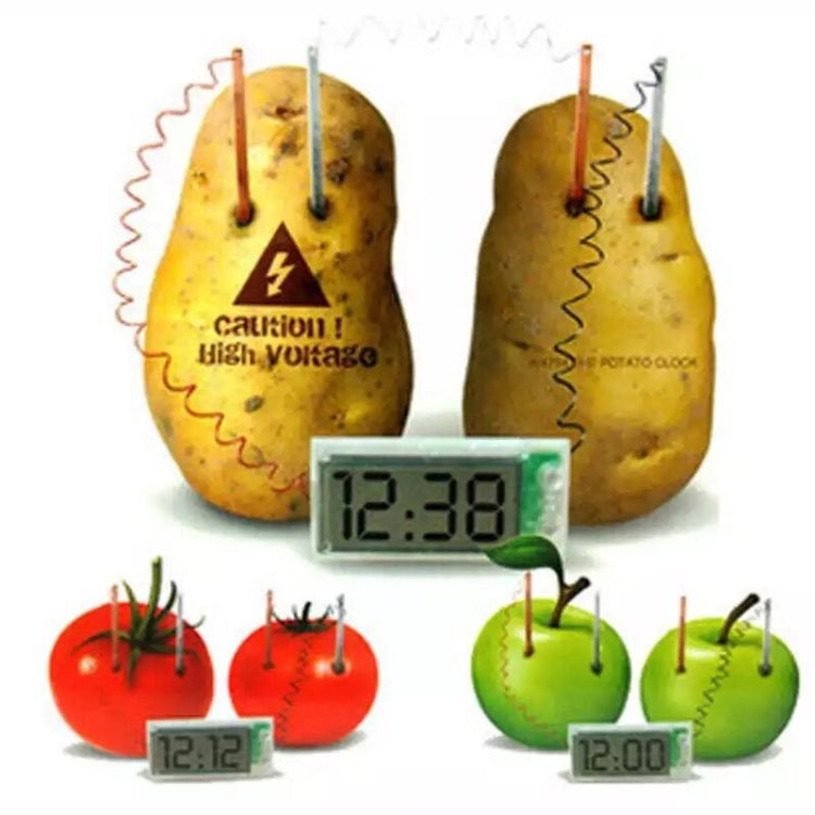 DIY Novel Green Science Potato Digital Clock Educational Kit with 2 inch LCD Screen (Potato NOT Included)(White) - Alarm Clocks by buy2fix | Online Shopping UK | buy2fix