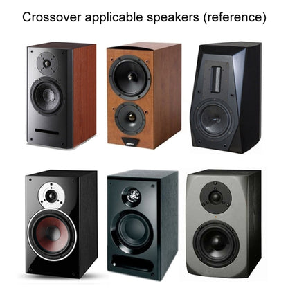 WEAH-2503 High and Low 2-way Speaker Crossover Hi-Fi Home Audio Solderless Divider(C Type Blue Capactior) - Audio Crossover by buy2fix | Online Shopping UK | buy2fix