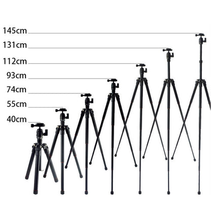 BEXIN MS12 Portable Lightweight Camera Ball Head Tripods Stand for Digital SLR DSLR camera - Tripods by BEXIN | Online Shopping UK | buy2fix