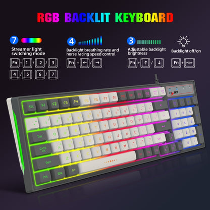 HXSJ V600 96-key RGB Backlit Dual-color Injection-molded Wired Gaming Keyboard - Wired Keyboard by HXSJ | Online Shopping UK | buy2fix