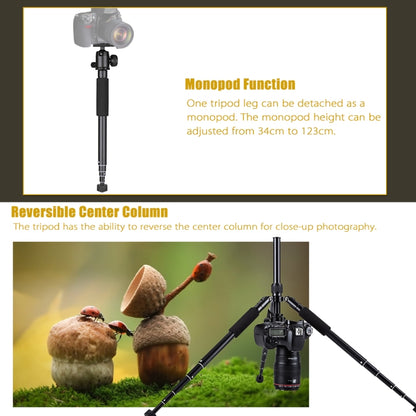 YUNTENG VCT-190 Aluminum Tripod Mount Monopod with Ball Head - Camera Accessories by buy2fix | Online Shopping UK | buy2fix