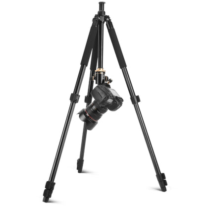 Q338 4-Section Folding Legs Live Broadcast Aluminum Alloy Tripod Mount With Three-dimensional Head - Camera Accessories by buy2fix | Online Shopping UK | buy2fix